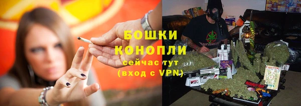 ПСИЛОЦИБИНОВЫЕ ГРИБЫ Белоозёрский