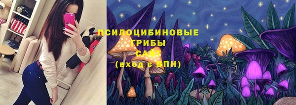spice Армянск