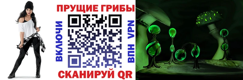 где найти наркотики  Балахна  МЕГА вход  Галлюциногенные грибы Psilocybine cubensis 