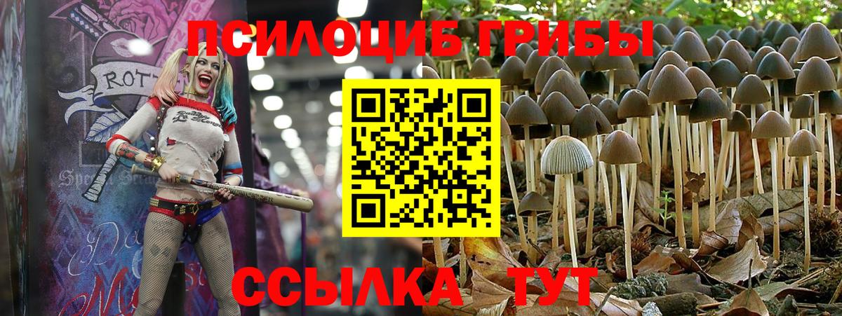 магазин    Псилоцибиновые грибы прущие грибы  Вход с VPN  Балахна 