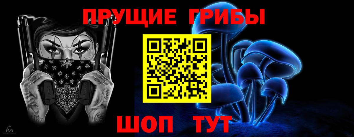 Галлюциногенные грибы MAGIC MUSHROOMS  Балахна  где купить наркоту  Галлюциногенные грибы Cubensis 