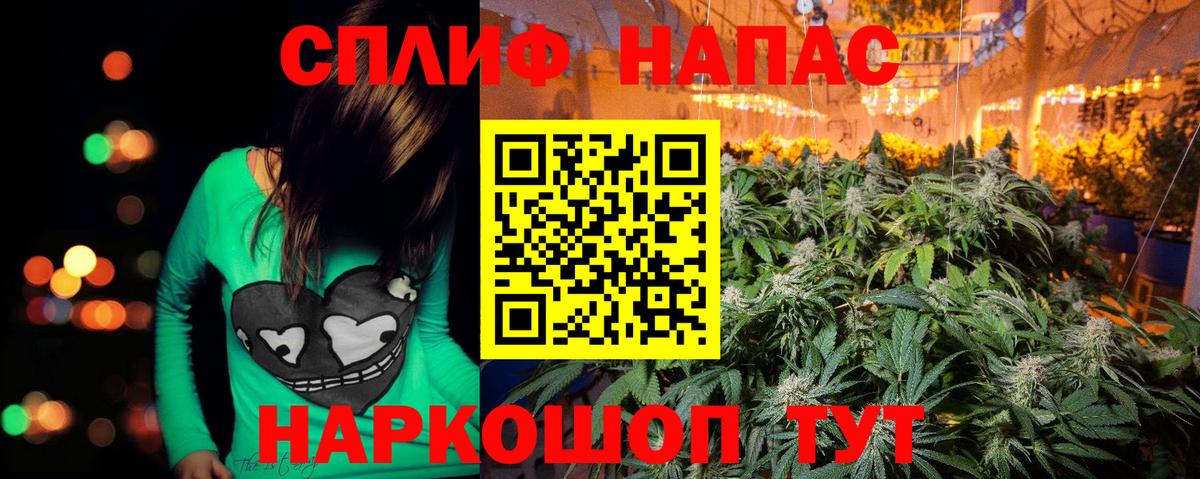 Псилоцибиновые грибы Балахна